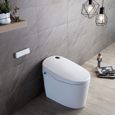Experimente o máximo conforto com o design moderno Eco Smart Automático Intelectual Toilet Assento aquecido e secador de ar quente