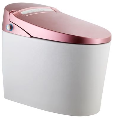 Transforme o banheiro do seu edifício de escritórios com banheiro automático inteligente montado no chão e Bidet de luxo multifunção