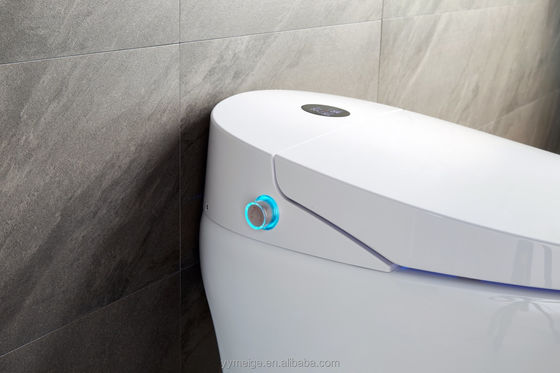 Edifício de escritórios Luxury Lower Cistern Eco Smart Automatic Smart Toilete com temperatura e características tecnológicas ajustáveis