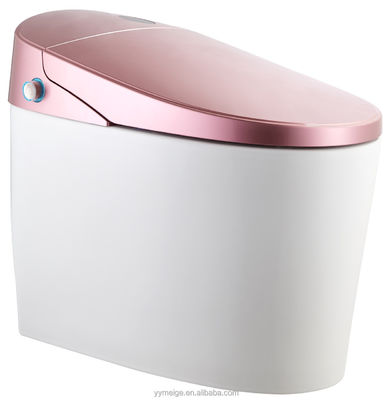 Experimente o máximo conforto com o design moderno Eco Smart Automático Intelectual Toilet Assento aquecido e secador de ar quente