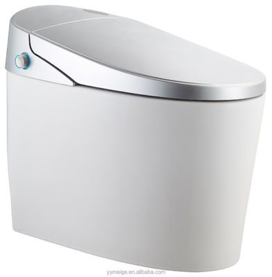 Experimente o máximo conforto com o design moderno Eco Smart Automático Intelectual Toilet Assento aquecido e secador de ar quente