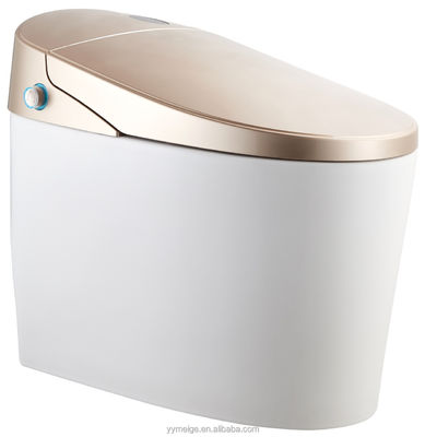 Experimente o máximo conforto com o design moderno Eco Smart Automático Intelectual Toilet Assento aquecido e secador de ar quente