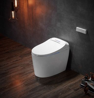Desodorizador Automático de Função Avançada Banheiro Integrado Multifunção Luxo com S-trap drenagem e controle remoto