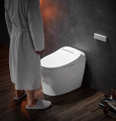 Desodorizador Automático de Função Avançada Banheiro Integrado Multifunção Luxo com S-trap drenagem e controle remoto