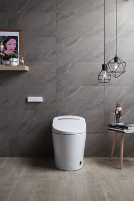 Transforme o banheiro do seu edifício de escritórios com banheiro automático inteligente montado no chão e Bidet de luxo multifunção