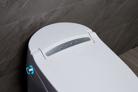 Transforme o banheiro do seu edifício de escritórios com banheiro automático inteligente montado no chão e Bidet de luxo multifunção