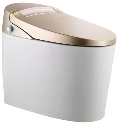 Transforme o banheiro do seu edifício de escritórios com banheiro automático inteligente montado no chão e Bidet de luxo multifunção