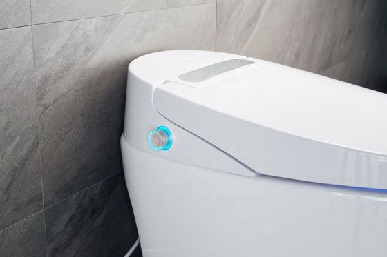 Toalha Bidet aquecida de uma peça com luxo multifunção integrado e design automático inteligente