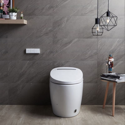 Toalha Bidet aquecida de uma peça com luxo multifunção integrado e design automático inteligente